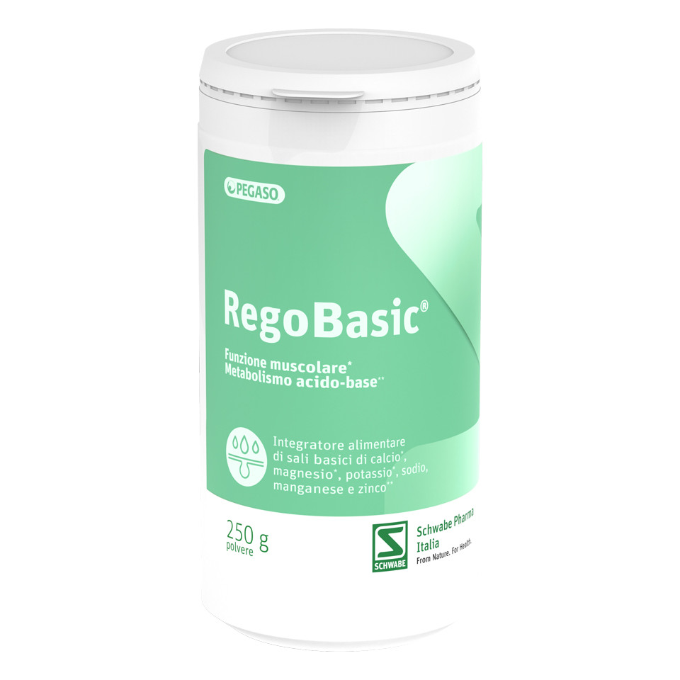 Rego Basic