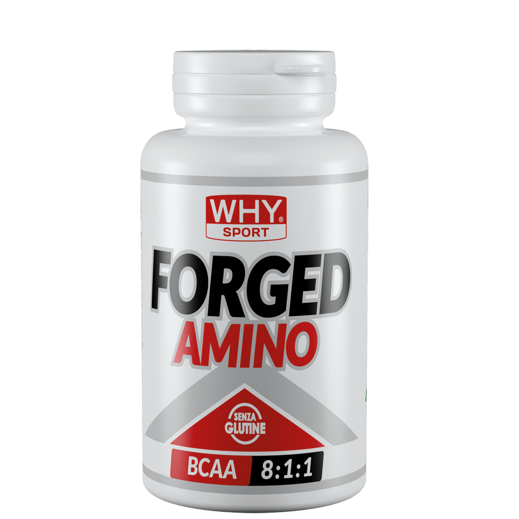 Forged Amino BCAA 8:1:1